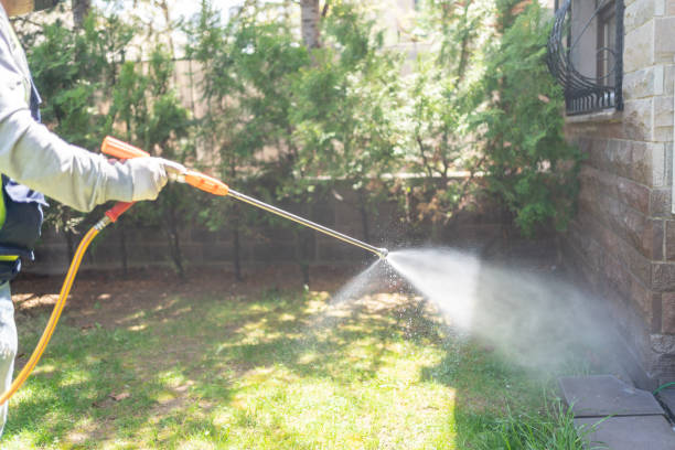 Best Fumigation Services  in Kittery Point, ME